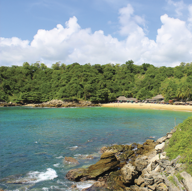 Playa Carrizalillo Puerto Escondido